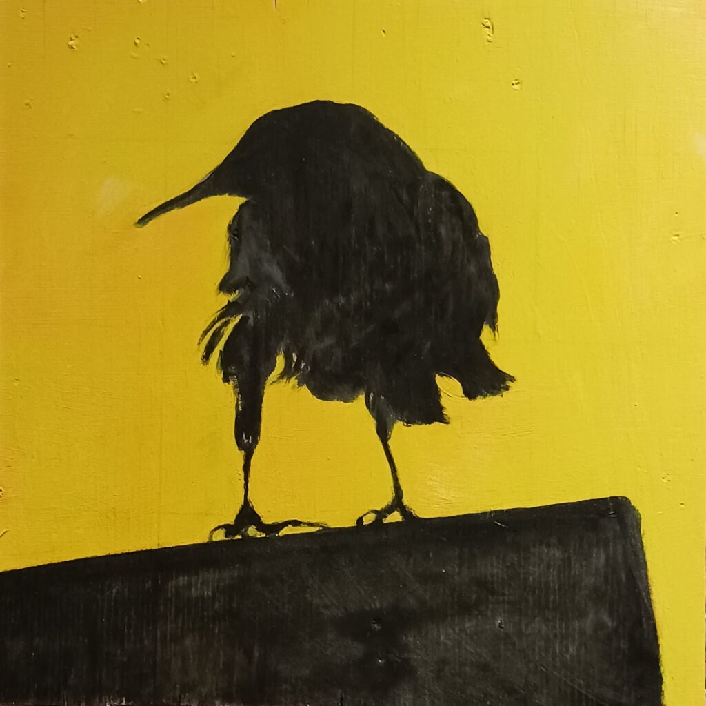 Bird Zone
